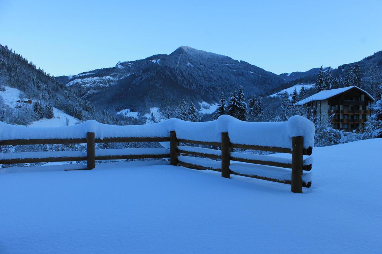 Chalet Avenir Saint-Jean-dʼAulps 外观 照片