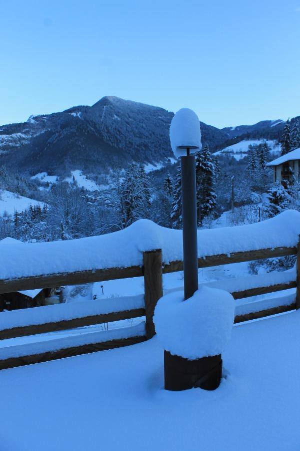 Chalet Avenir Saint-Jean-dʼAulps 外观 照片
