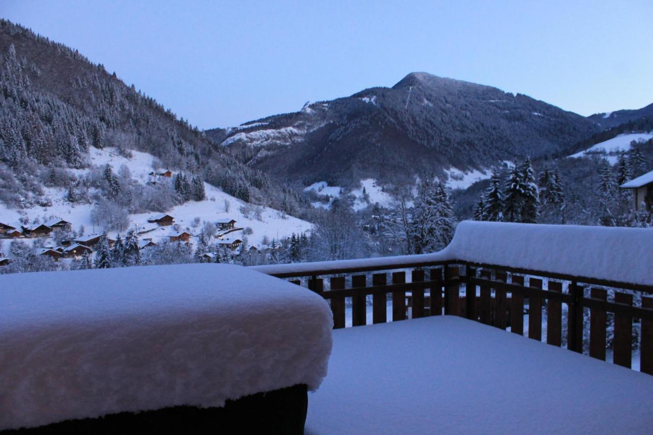 Chalet Avenir Saint-Jean-dʼAulps 外观 照片